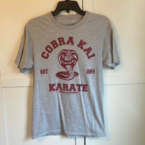 Size small Cobra Kai t-shirt. Worn once. Size tag was removed. Good condition.
